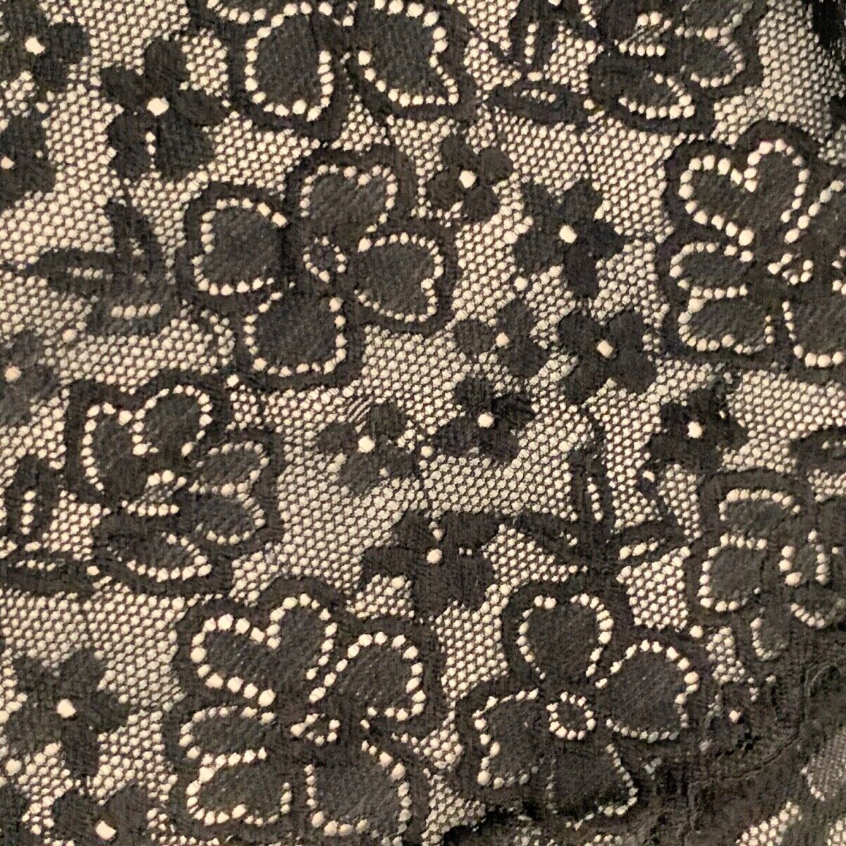 Lace Cheeky Bikini Panties Size Large (12/14) Low-Rise Black Underwear NEW